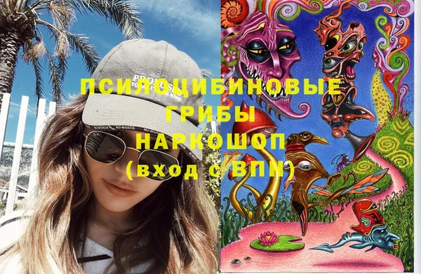 дмт Алексин