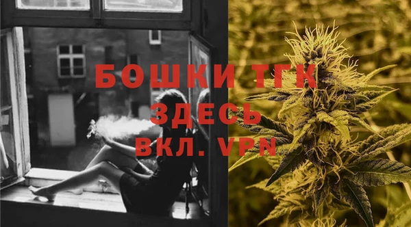 дмт Алексин