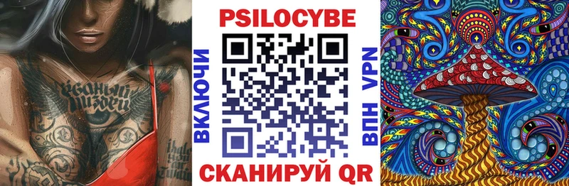Галлюциногенные грибы Psilocybe  цены наркотик  Чехов 